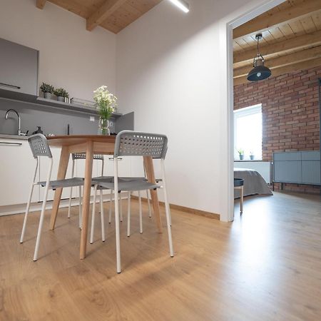 Apartamenty Mlynska 5 Bielsko-Biała Kültér fotó