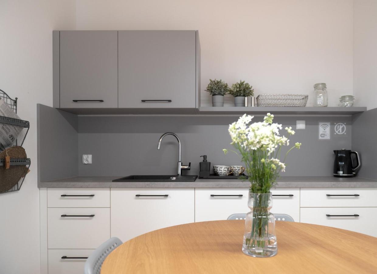 Apartamenty Mlynska 5 Bielsko-Biała Kültér fotó