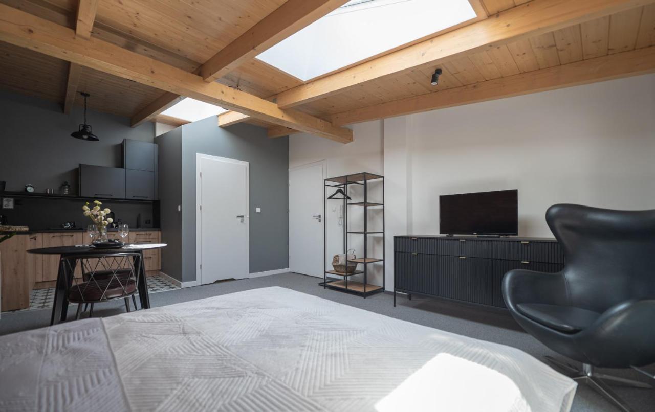 Apartamenty Mlynska 5 Bielsko-Biała Kültér fotó