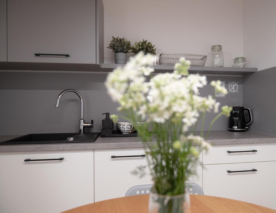 Apartamenty Mlynska 5 Bielsko-Biała Kültér fotó