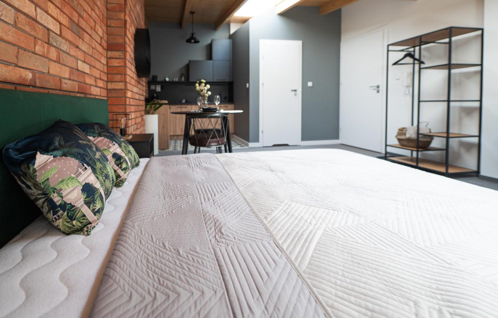 Apartamenty Mlynska 5 Bielsko-Biała Kültér fotó